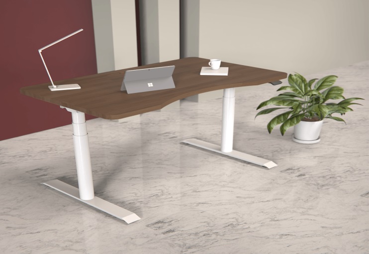 Sit Stand Desk